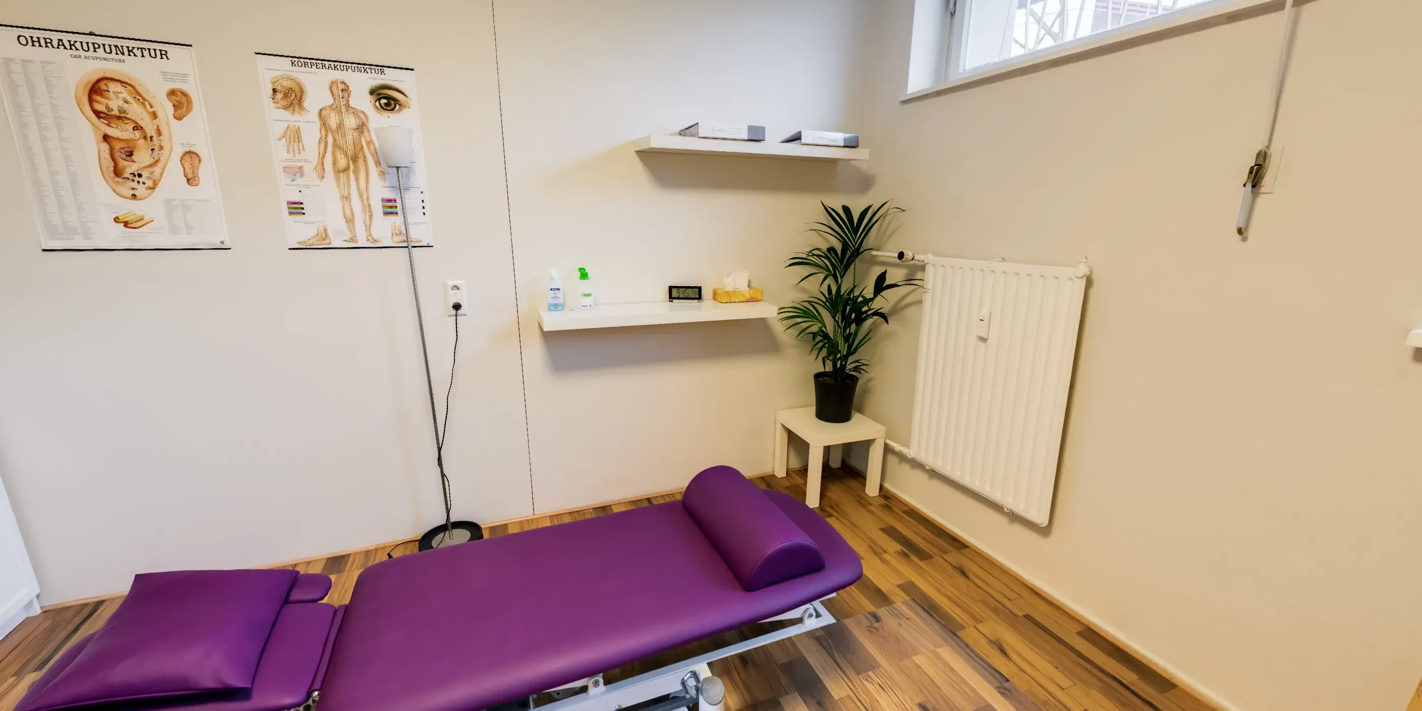 Heller Behandlungsraum mit violetter Therapieliege, Pflanze und Fenster